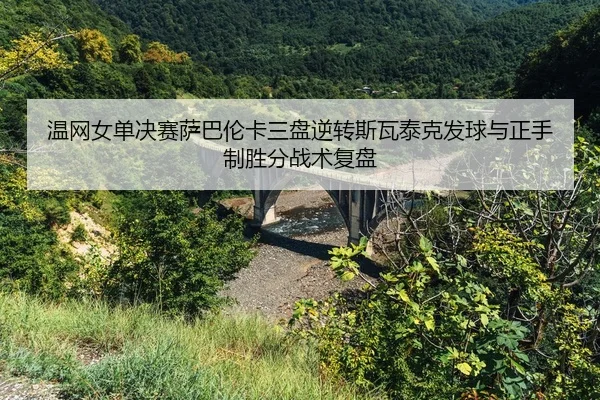 wen-wang-nv-dan-jue-sai-sa-ba-lun-ka-san-pan-ni-zhuan-si-wa-tai-ke-fa-qiu-yu-zheng-shou-zhi-sheng-fen-zhan-shu-fu-pan-2-507.jpg