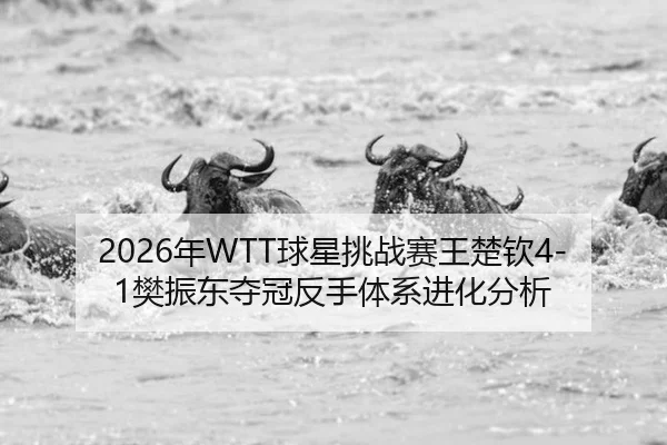 2026年WTT球星挑战赛王楚钦4-1樊振东夺冠反手体系进化分析