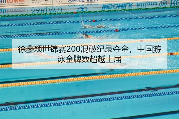 xu-xin-ying-shi-jin-sai-hun-po-ji-lu-duo-jin-zhong-guo-you-yong-jin-pai-shu-chao-yue-shang-jie-3-726.jpg