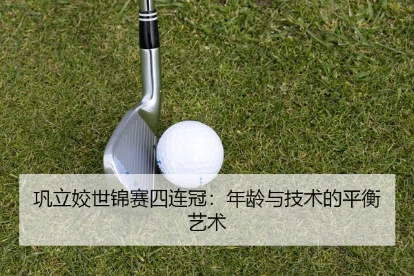 gong-li-jiao-shi-jin-sai-si-lian-guan-nian-ling-yu-ji-shu-de-ping-heng-yi-shu-3-659.jpg