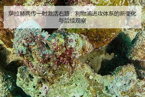 萨拉赫两传一射激活右路：利物浦进攻体系的新变化与后续观察